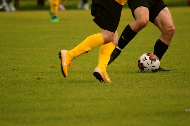 是球迷和分 是球迷和分