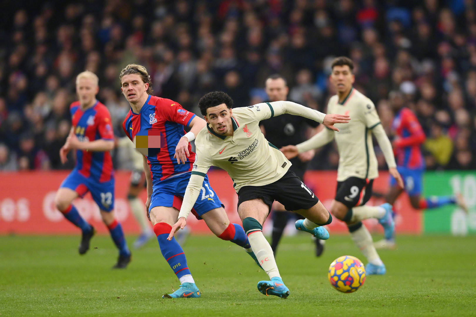 增添更多精 增添更多精